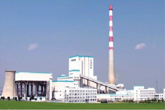 Coal-fired Power Plant Case